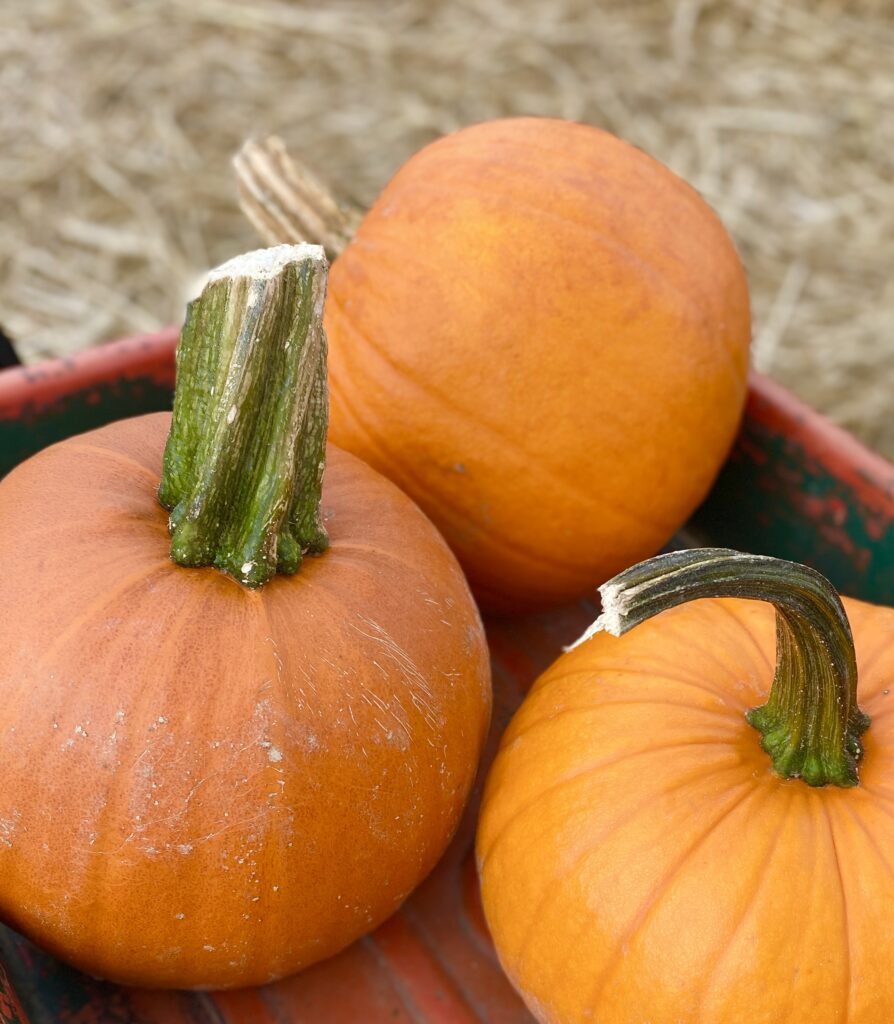 Pumpkins