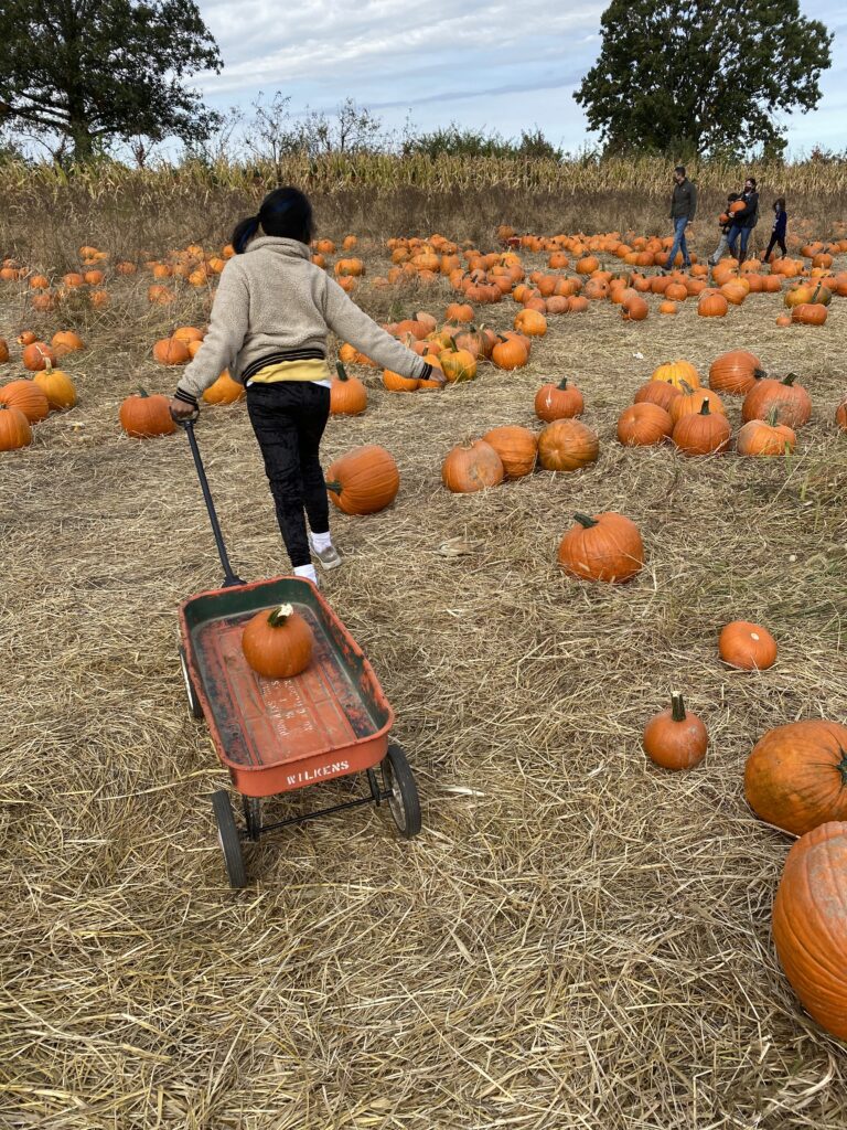 Girl in a Pumpkin Patch
