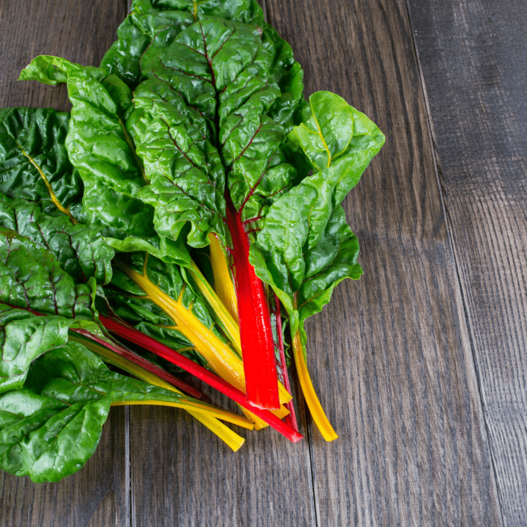 A handful of Rainbow Chard