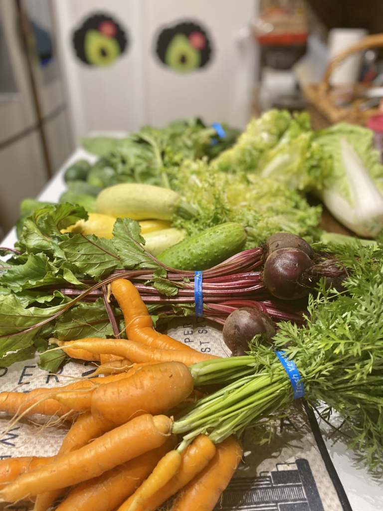 Produce From a CSA Share including carrots, beets and lettuce