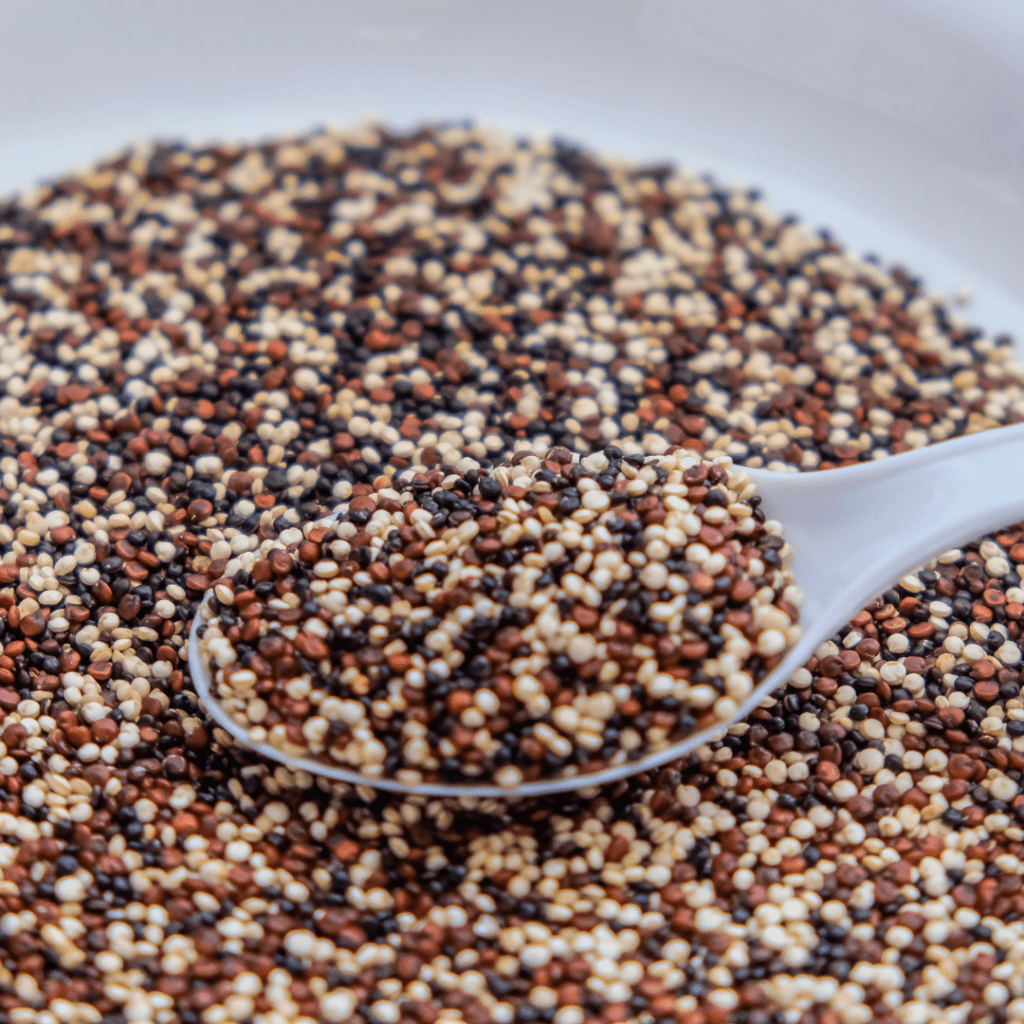 A bowl of quinoa is perfect for plant-based cooking