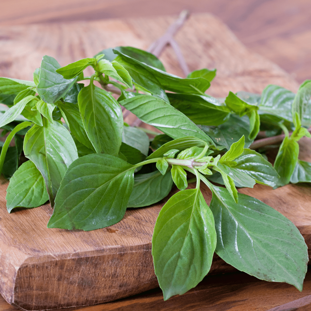 Basil is perfect for plant-based cooking