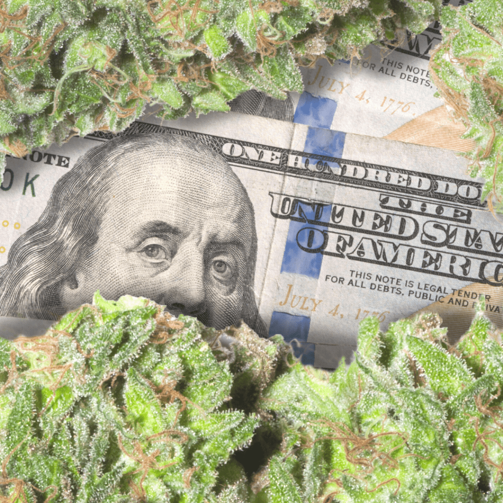 Image of Marijuana and Money 