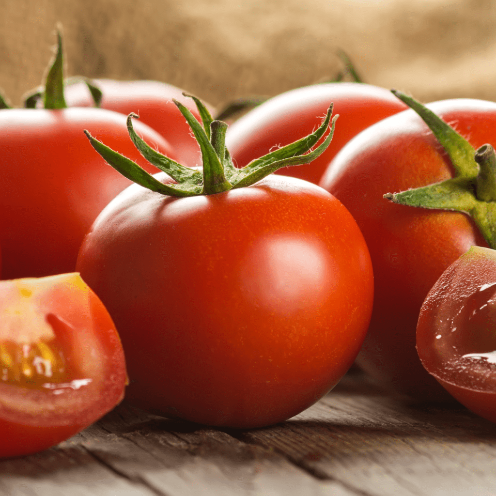 Fresh Tomatoes feady for slow roasting