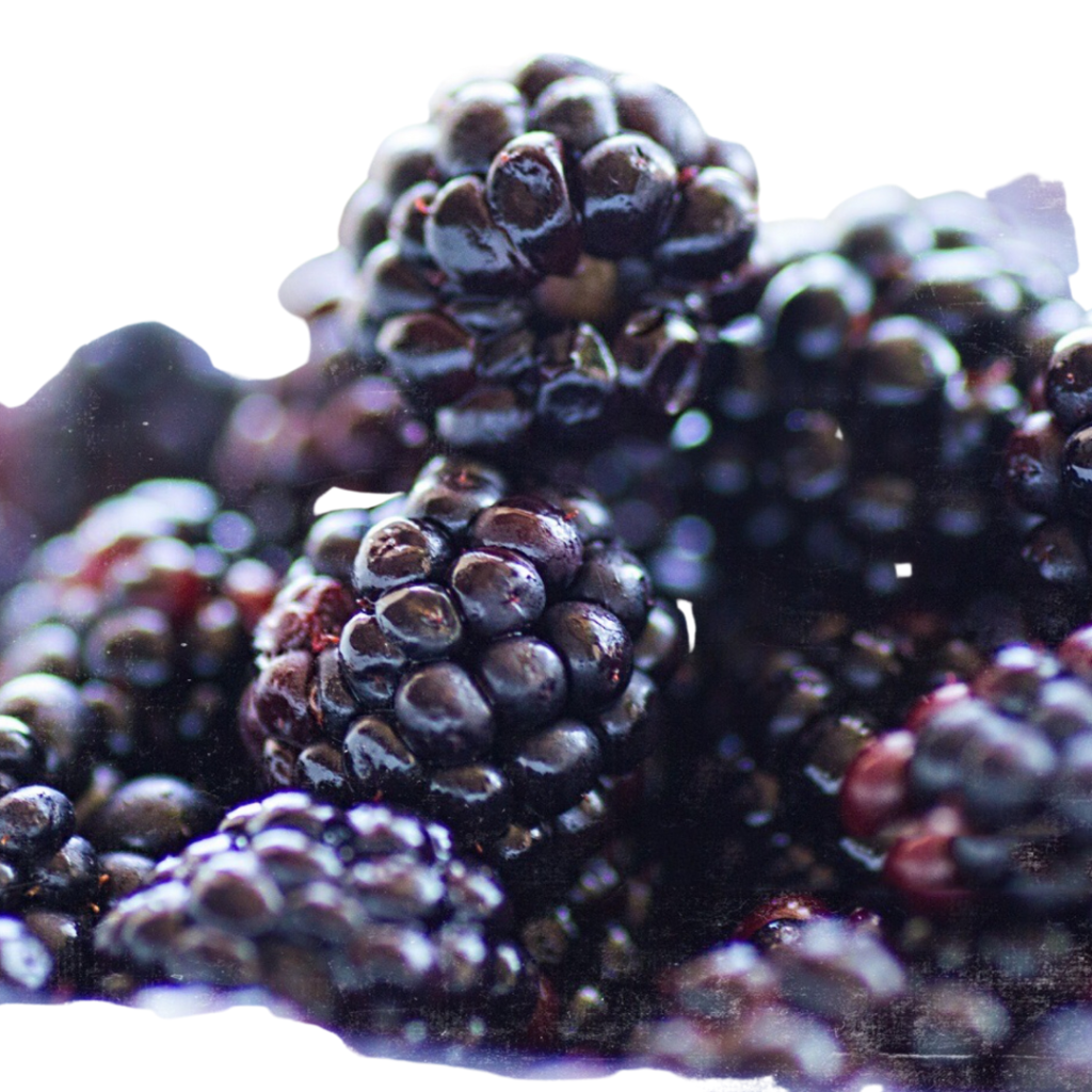 Blackberries for Breakfast Boards