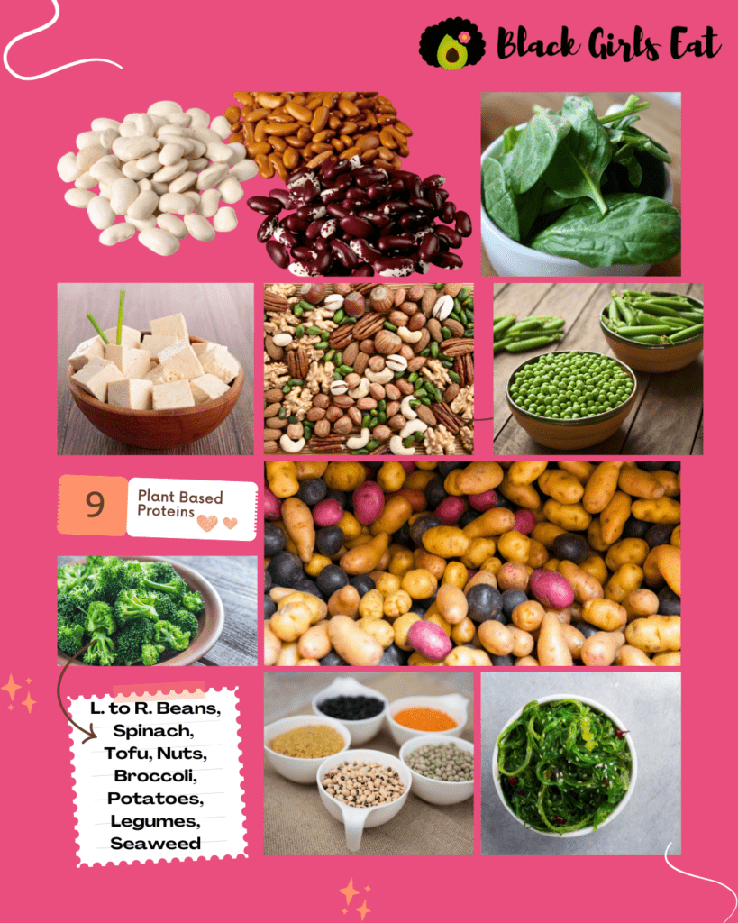 A collage of 9 kinds of protein including spinach, broccoli, nuts, legumes, tofu, beans, lentils, chickpeas and seaweed