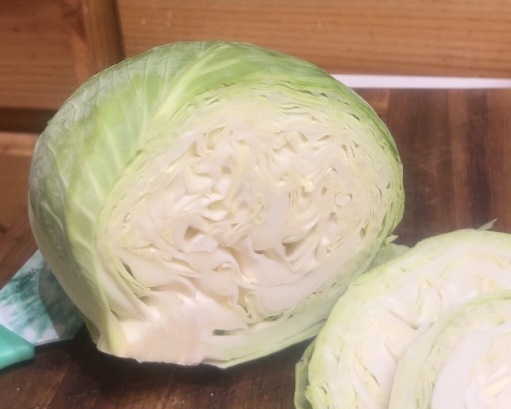 Head of Green Cabbage