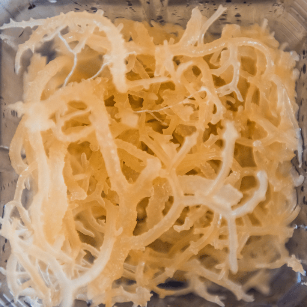 Raw Sea Moss