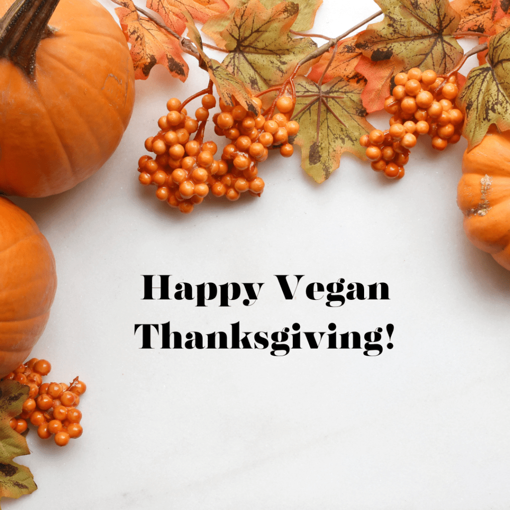 The words Happy Vegan Thanksgiving surrounded by pumpkins and fall plants