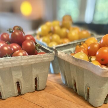 Yellow, orange and red grape tomatoes in cartons