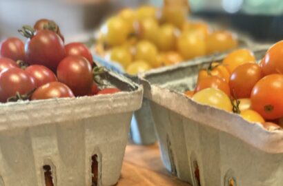 Yellow, orange and red grape tomatoes in cartons