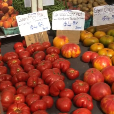 Red heirloom tomatoes on a table at the supermarket